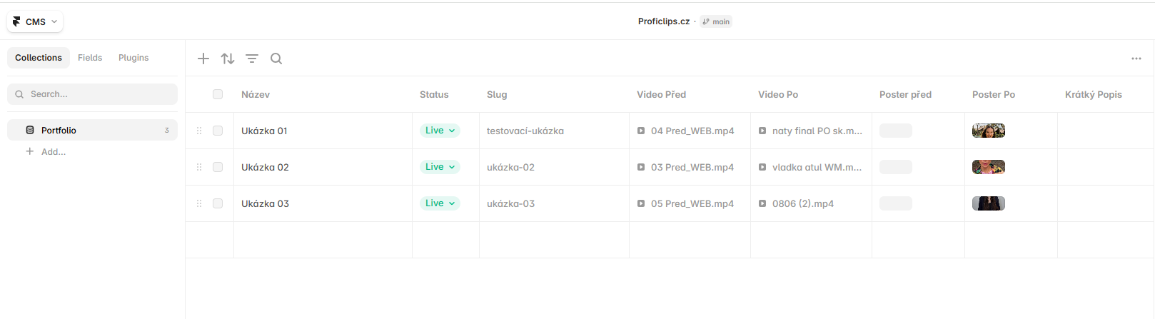 CMS Portfolio ve Frameru
